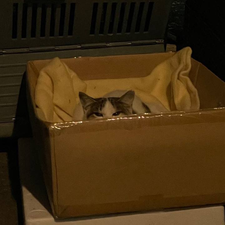 284b2d57 bc66 4297 a0c9 bd0bf2800ad6 1637840328607