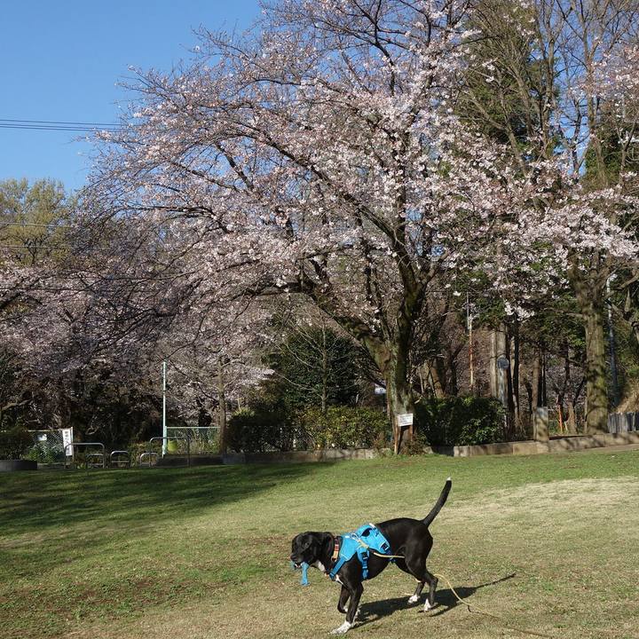 284b343b cd64 4c2c a033 fb2fcb49c7b8 1616460362038