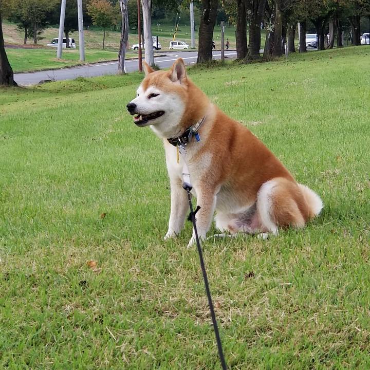 284b5376 2b14 4421 a25e 85e9ceb0b0c9 1631604905178