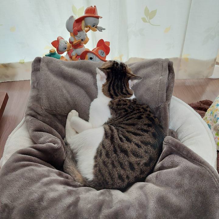 284b5ba1 6c8c 4731 9df6 17f4731c2ba9 1644705067042