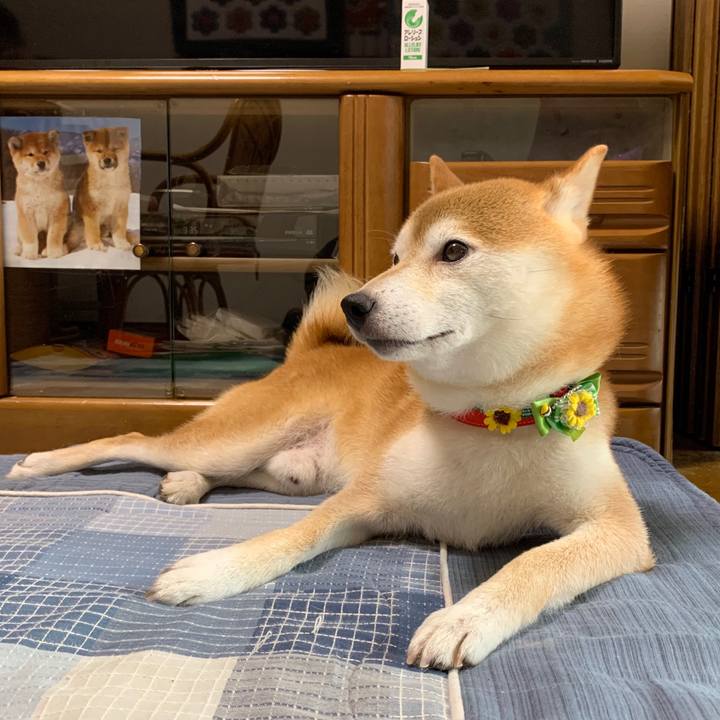 284b84c9 3c89 454d a3fd 1e2bff409b27 1597106851447