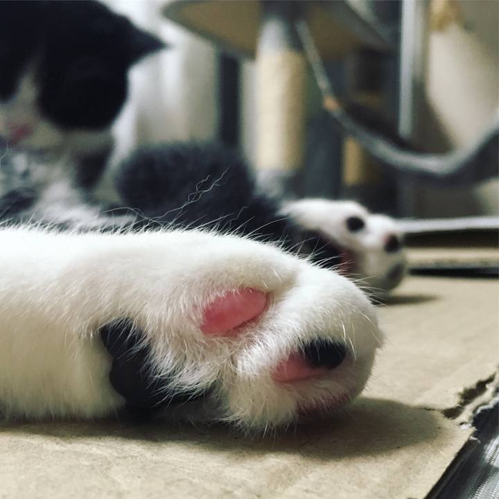 284b85cb ac29 4f45 9e06 25518bf75e5a 1567338130397