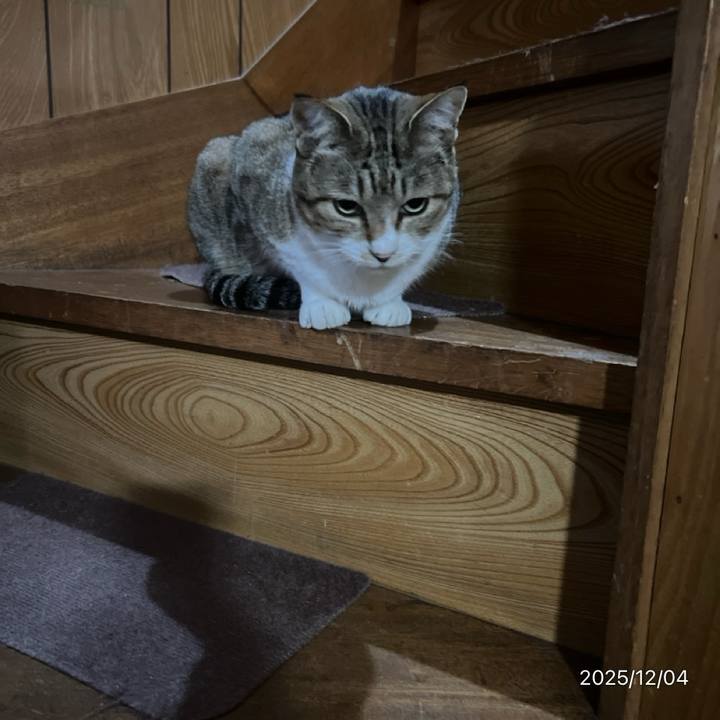 284b8eba 4dc9 444f a41e a45741d21000 1764799151732