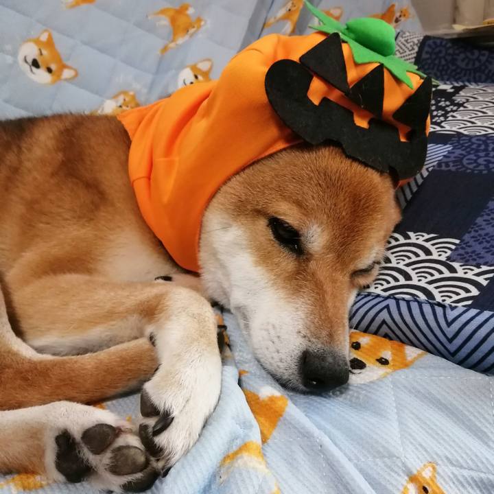 284bd323 8c79 49b7 80ce cd70ca43a769 1600837387544