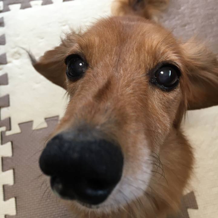 284bed6f 22b5 4ec8 8ad4 12c1f638a128 1595066730409