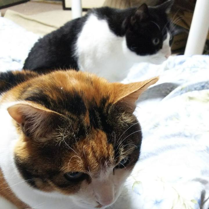 284c5781 241f 4882 8ca5 ab5ab4063127 1545777287092