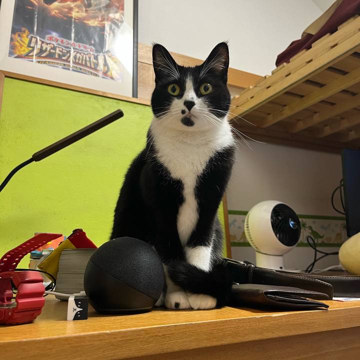 284c788b 169f 494f 86b6 967390d15664 1709094629052