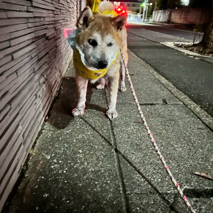 284c806d 653e 4621 a46d 3657c9147ed4 1764667264206