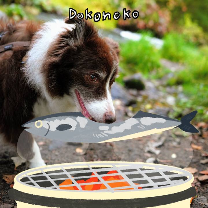 284c9201 dbdc 4c14 bb63 d573bc7218fb 1761249722245