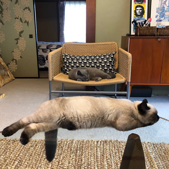 284c96dd bc44 4097 98ec a5461725752e 1594375217144