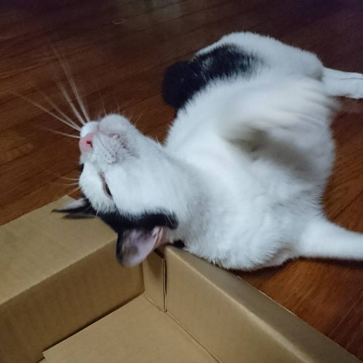 284ce196 8280 4710 8446 dc27ca338620 1549155659696