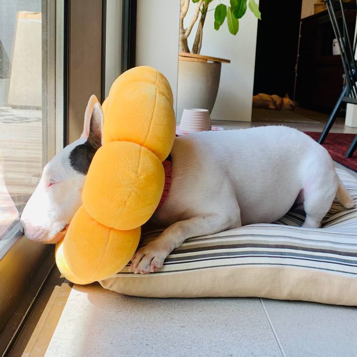 284d6160 eb6d 4299 9b84 414901fb894c 1599192588233