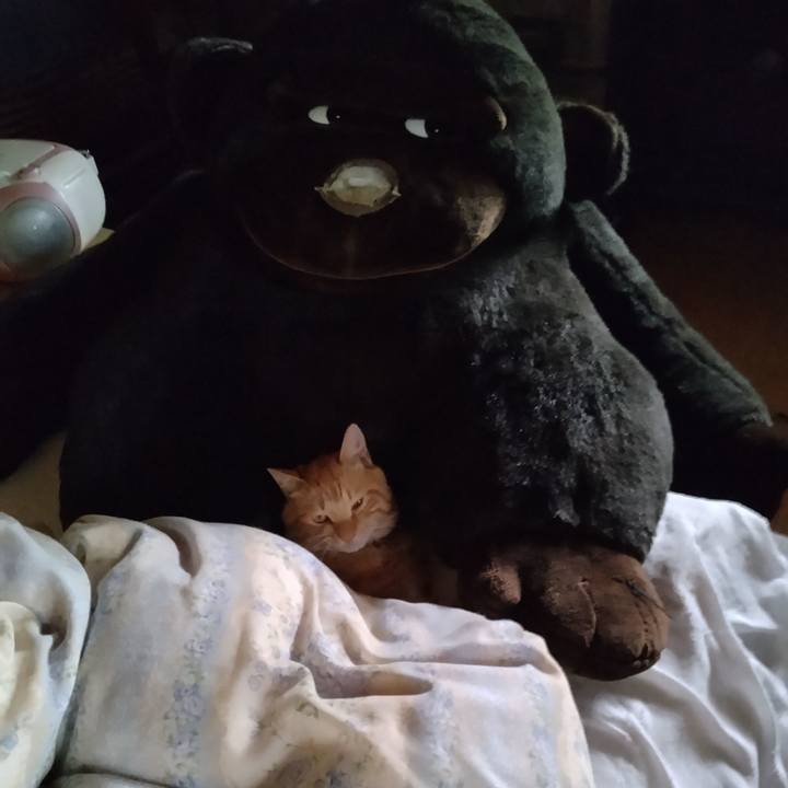 284d837b a947 4a04 ae6f dcb20cff73c7 1665558259645