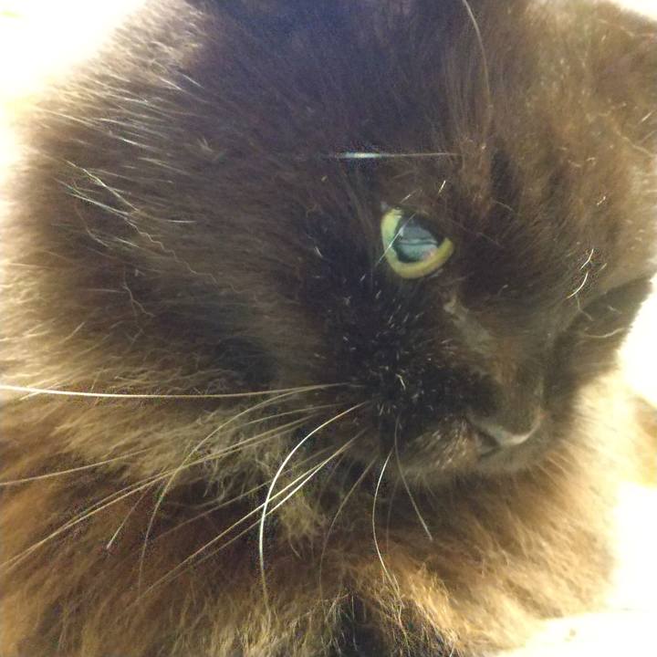 284da8fc e4fb 498b 80e1 7ee85c2005c1 1629633512234