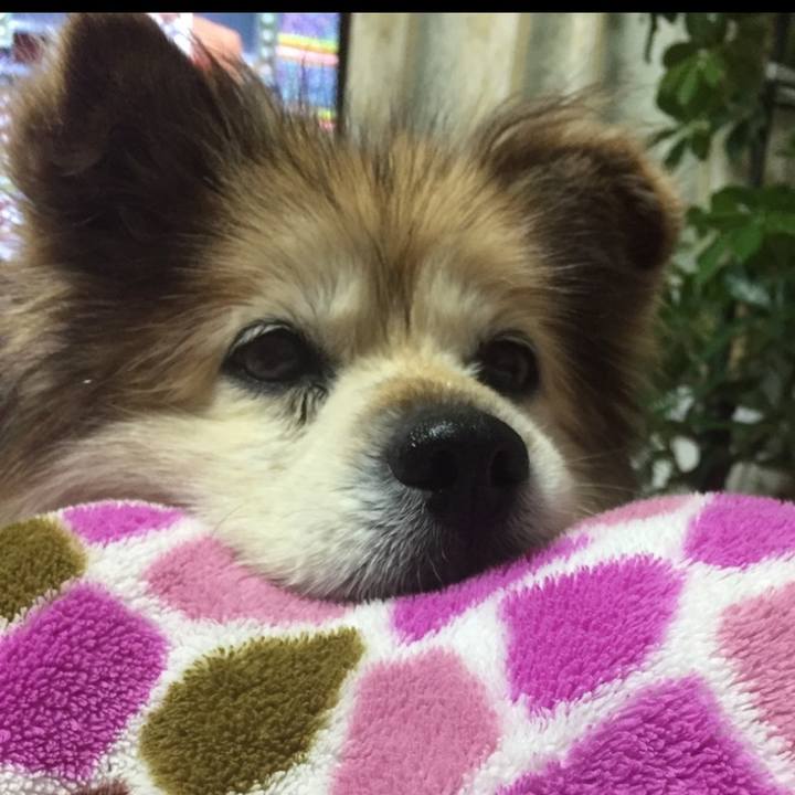 284dd166 f9d4 47d8 8be5 b0e60f3b9b96 1586193129376