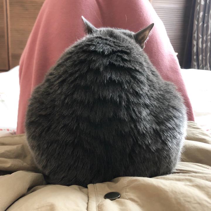 284dd208 b103 4f27 82fa 47cd0c5c7d99 1586234559709