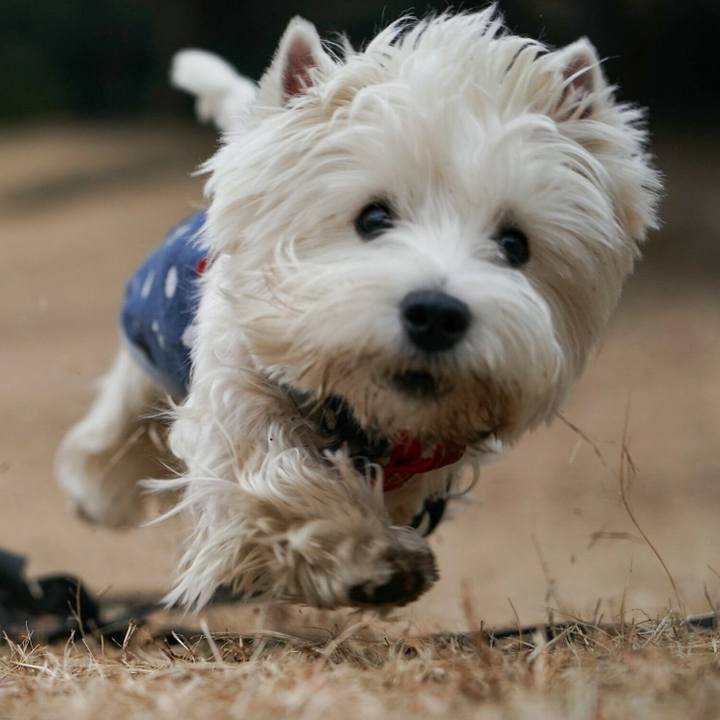 284e04b3 bb8a 4b1d 9fb9 6a01df263017 1516187731109