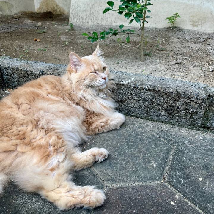 284e2ff7 9377 4d23 8100 13ed438d765f 1773566368980