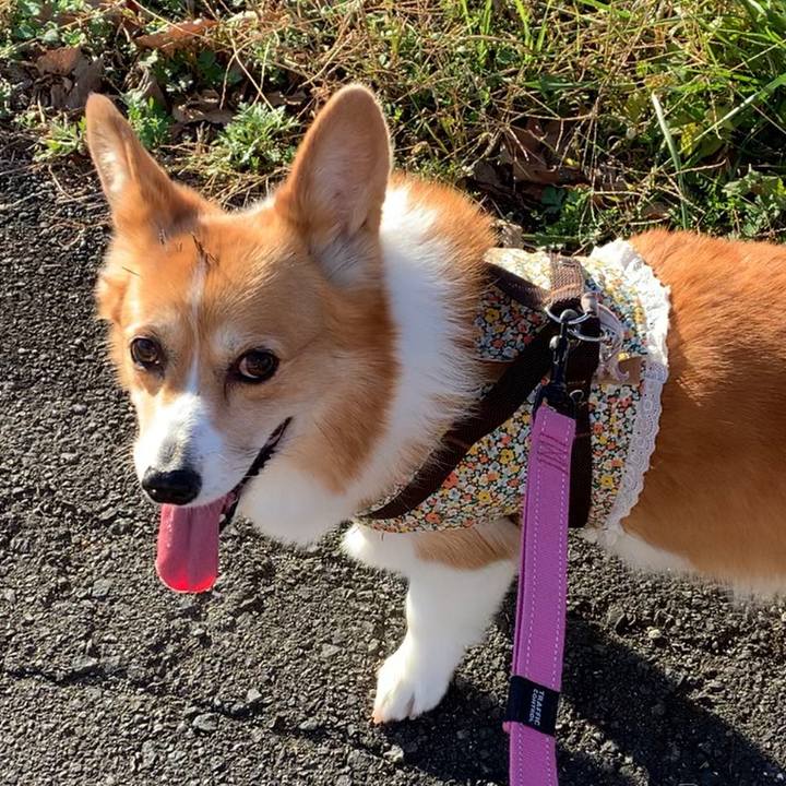 284e5b3a b109 4482 8cae 477e4ac65c3b 1669963662495