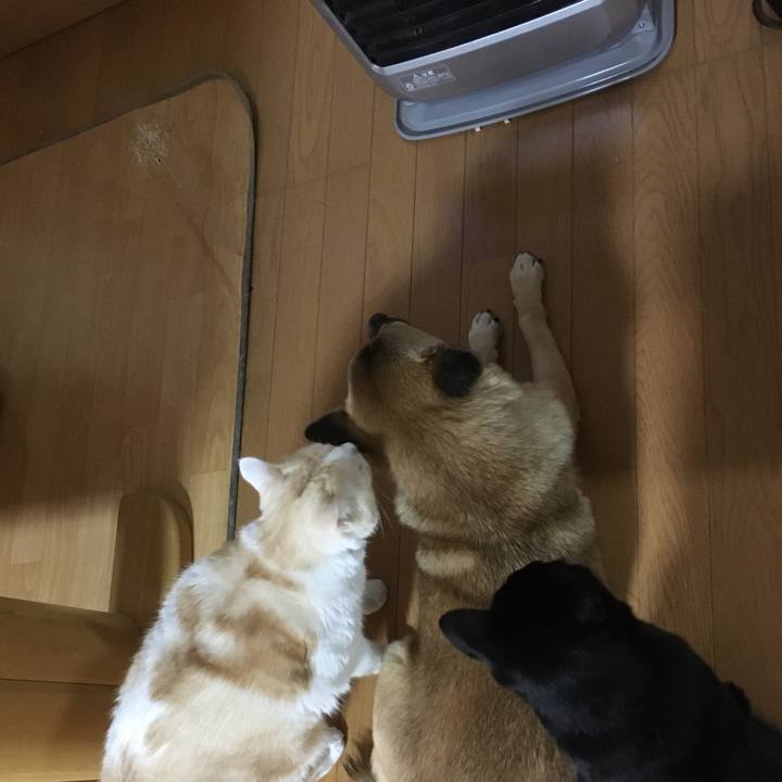 284e8da0 00c0 4f50 9267 054b3bf014cf 1513028276924