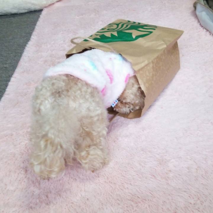 284e9a11 7da8 4375 a3a9 0e95a200ce05 1546936745311