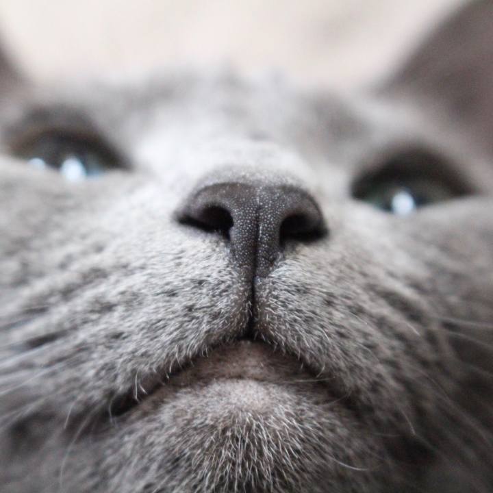 284eb782 c9f5 420f 88ef 16af54a06c23 1553899956885