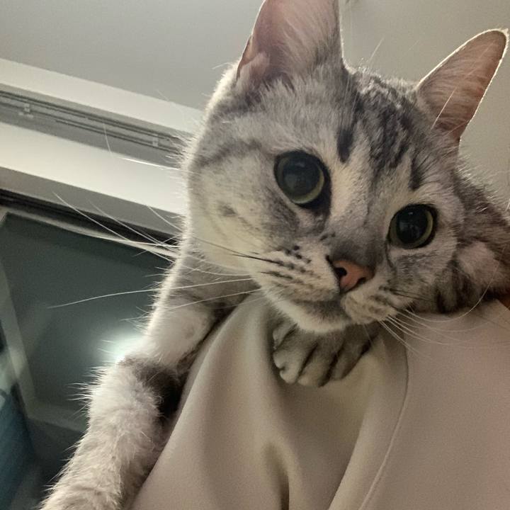 284ece3d 1b2c 4ff9 a888 54648a9f68ad 1651910242160