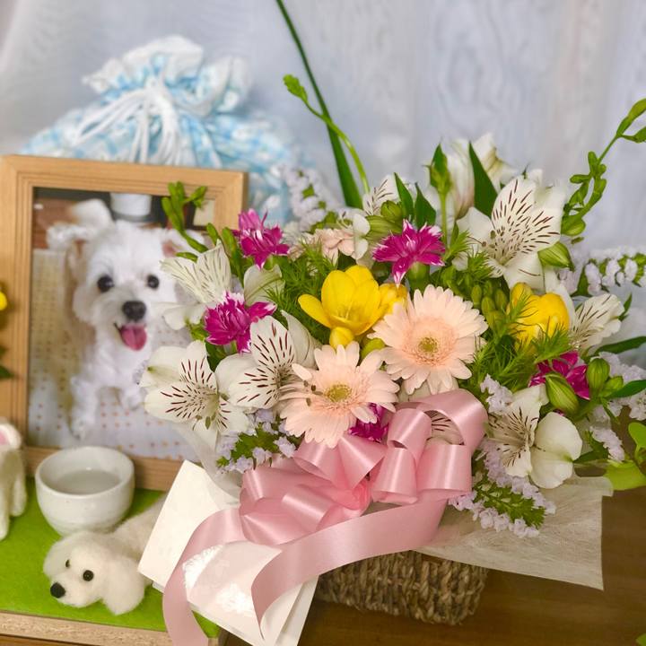 284f0f59 22a9 4d77 ad53 1fe116228a36 1556360664343