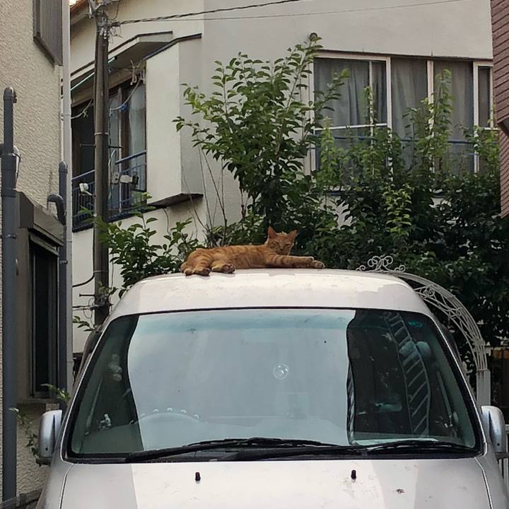 284f48c9 8f9a 493e 979f 3051f94c90b8 1531084166663