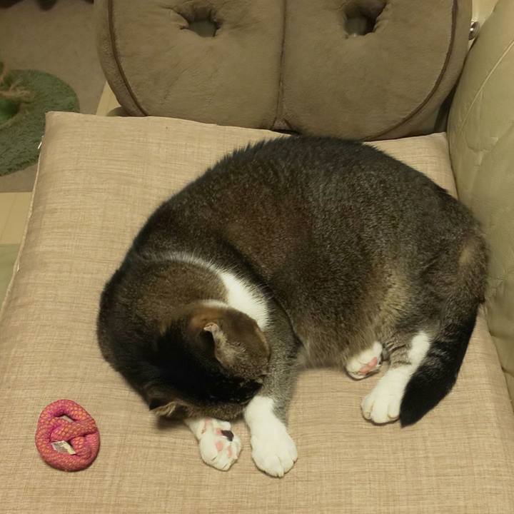 284f5c63 d76d 4ac4 a263 f20bfac29e09 1764076784192