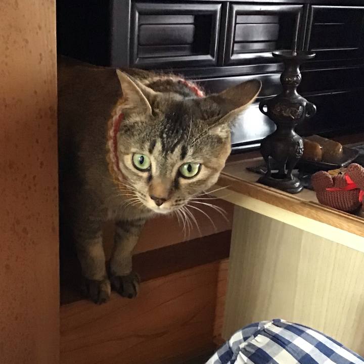 284fb3c7 37ff 40d1 87aa 614921b84478 1623653534443