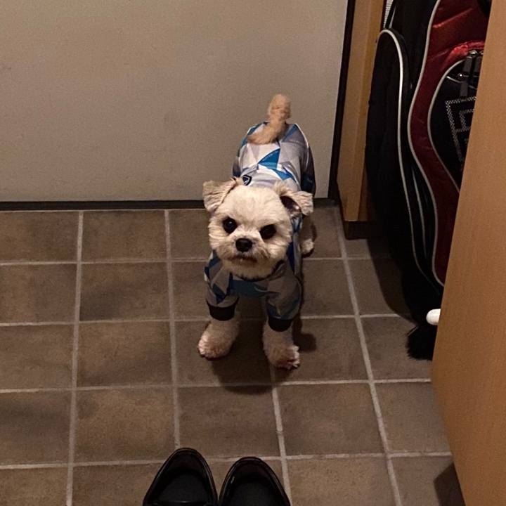 284fbdce 1a52 4891 87d6 580ecb4f0661 1594640485599