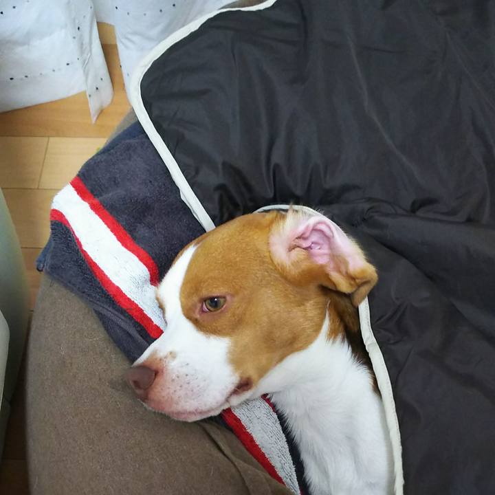 284fda6e affe 4370 83f7 6550a2729857 1508076945367