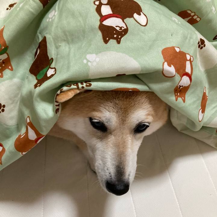 28504004 9ba6 488b 8093 e042bdb0155e 1620643696460