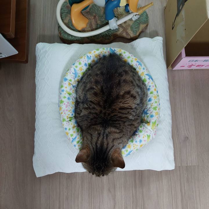 28504206 cd5f 46af 8aaa 727194961753 1652249341955