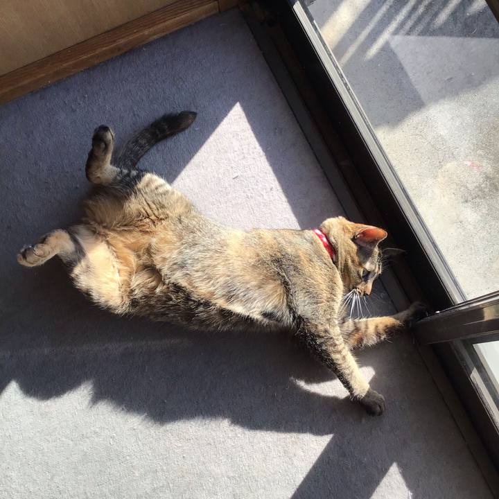 28508b80 b33b 41a8 9eae 259336dca006 1605315306231