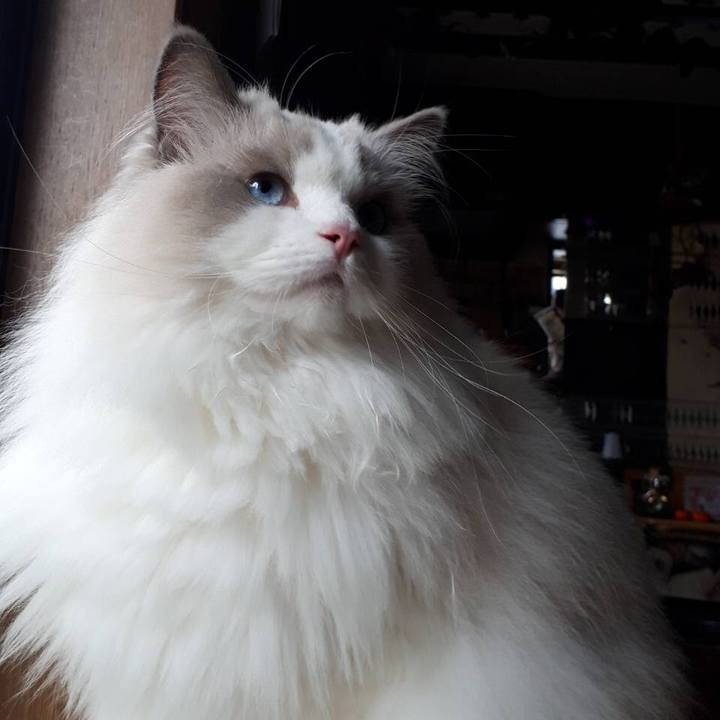 2850ecdb 3eb6 442b 9b89 4414a1ee9076 1574496791705