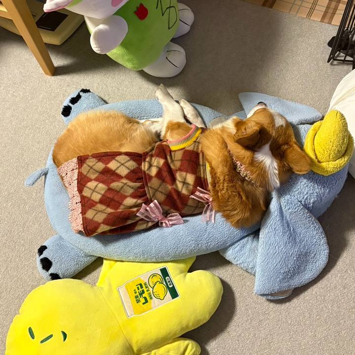 28513e11 d3e2 426d 9d05 4014e4e7f4cd 1771183978417