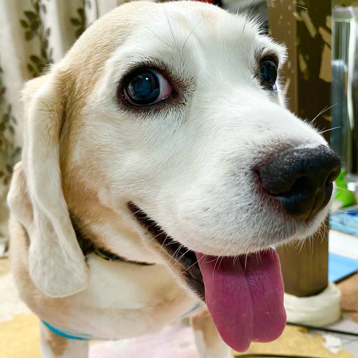 28514a08 6bf8 49f3 a1ed 40014769268b 1657348281464