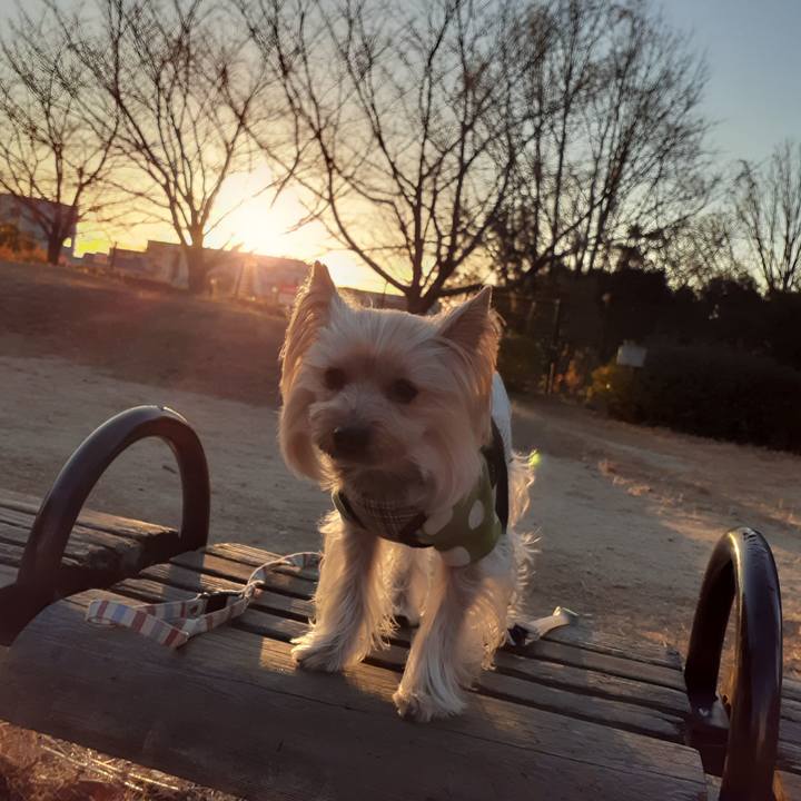 285196ae 7b46 4e84 8bb1 ac44c55dba85 1609456771477