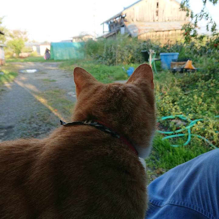 28519be0 531e 4080 9ad5 7ea7ae02be14 1570956203648