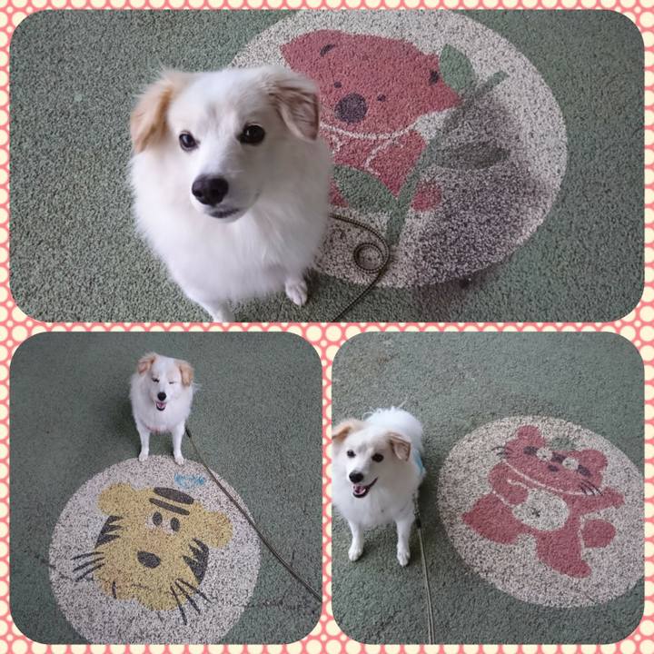 2851c28b dd4c 4783 8892 594eb23e0512 1507844818971