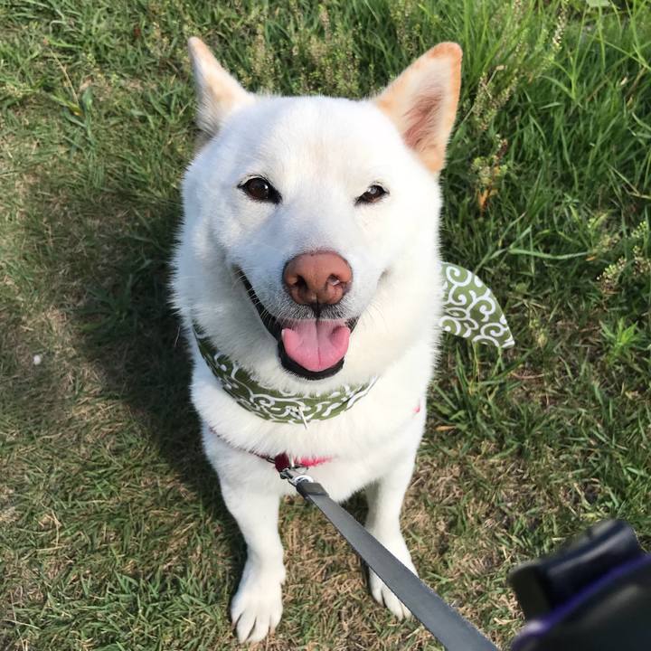 28527340 e547 4d9c 8bd0 109805849f64 1534983923335