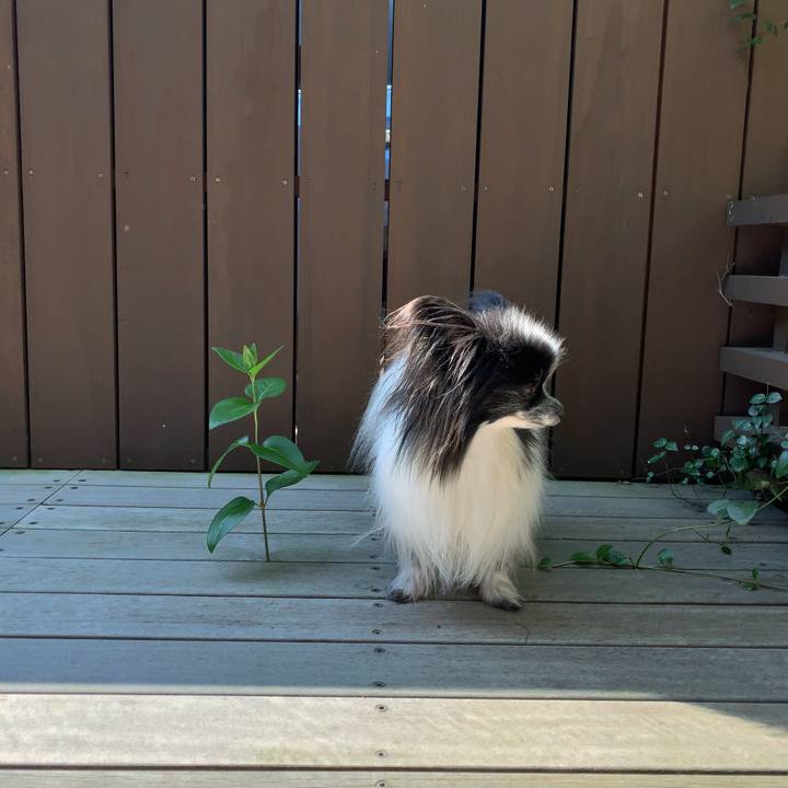 2852acb0 620e 4034 8739 5b4c41742444 1585959097224