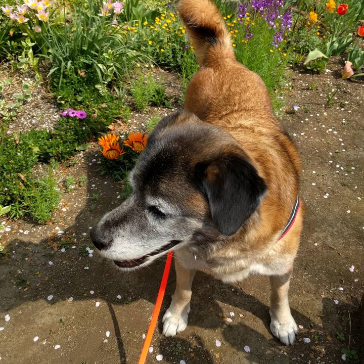 2852ccc3 6c23 413b bf6a 390d434d69c5 1522725257319