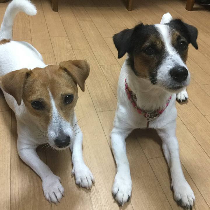 28530dcf e0c7 4c38 a036 f4d2e24ac2f2 1546264896020