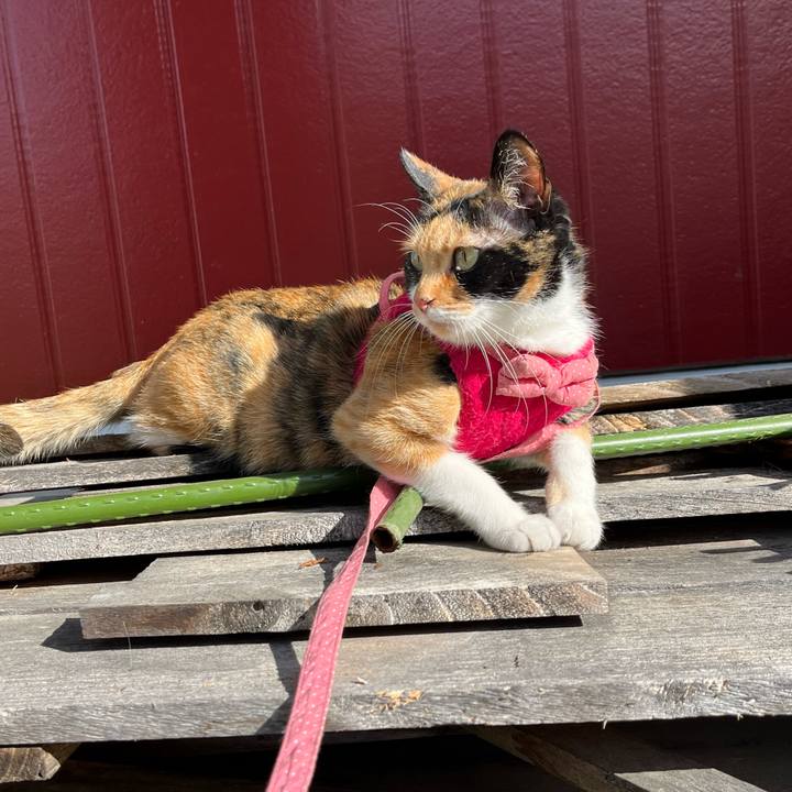 28531912 09ff 4cb3 bbbf 1a02555720b3 1682380971145