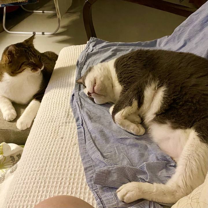 28536114 8ae4 4d9b aff0 b79f66cf3c11 1757169755033