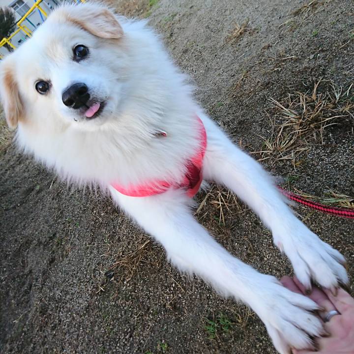 2853668e 2a3c 46fd 9670 1124e3c8b1a1 1510577059611