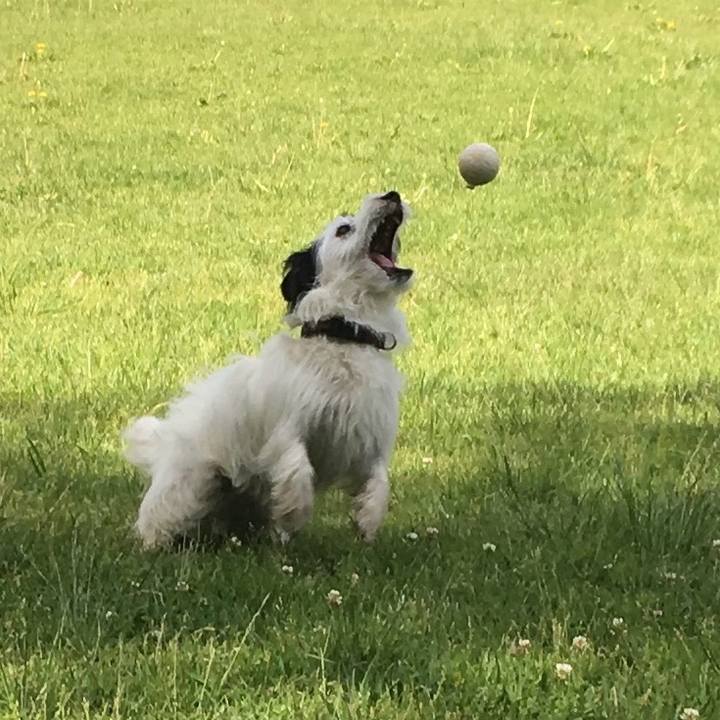 28538c30 e487 4993 a6ca 2a1a9eadbb0f 1525575755516